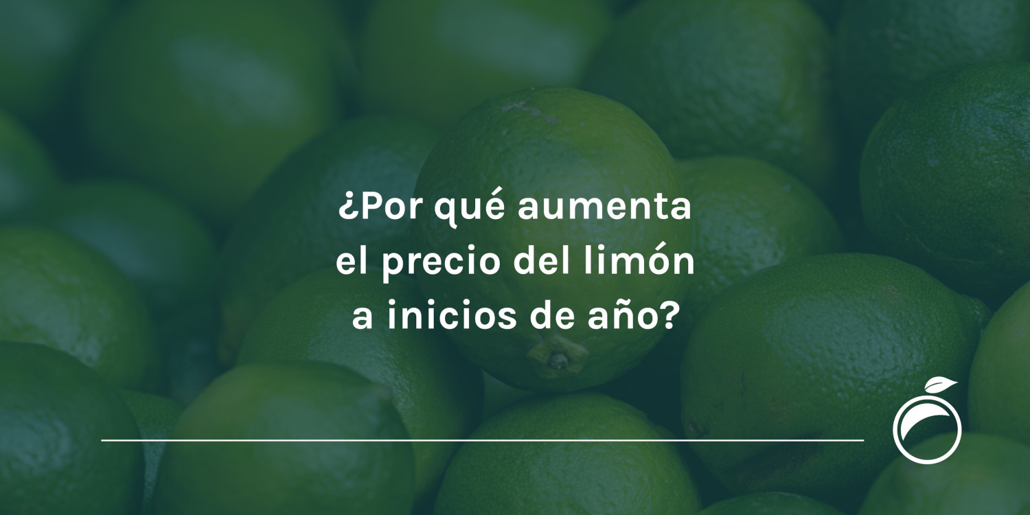 Por qué aumenta el precio del limón a inicios de año