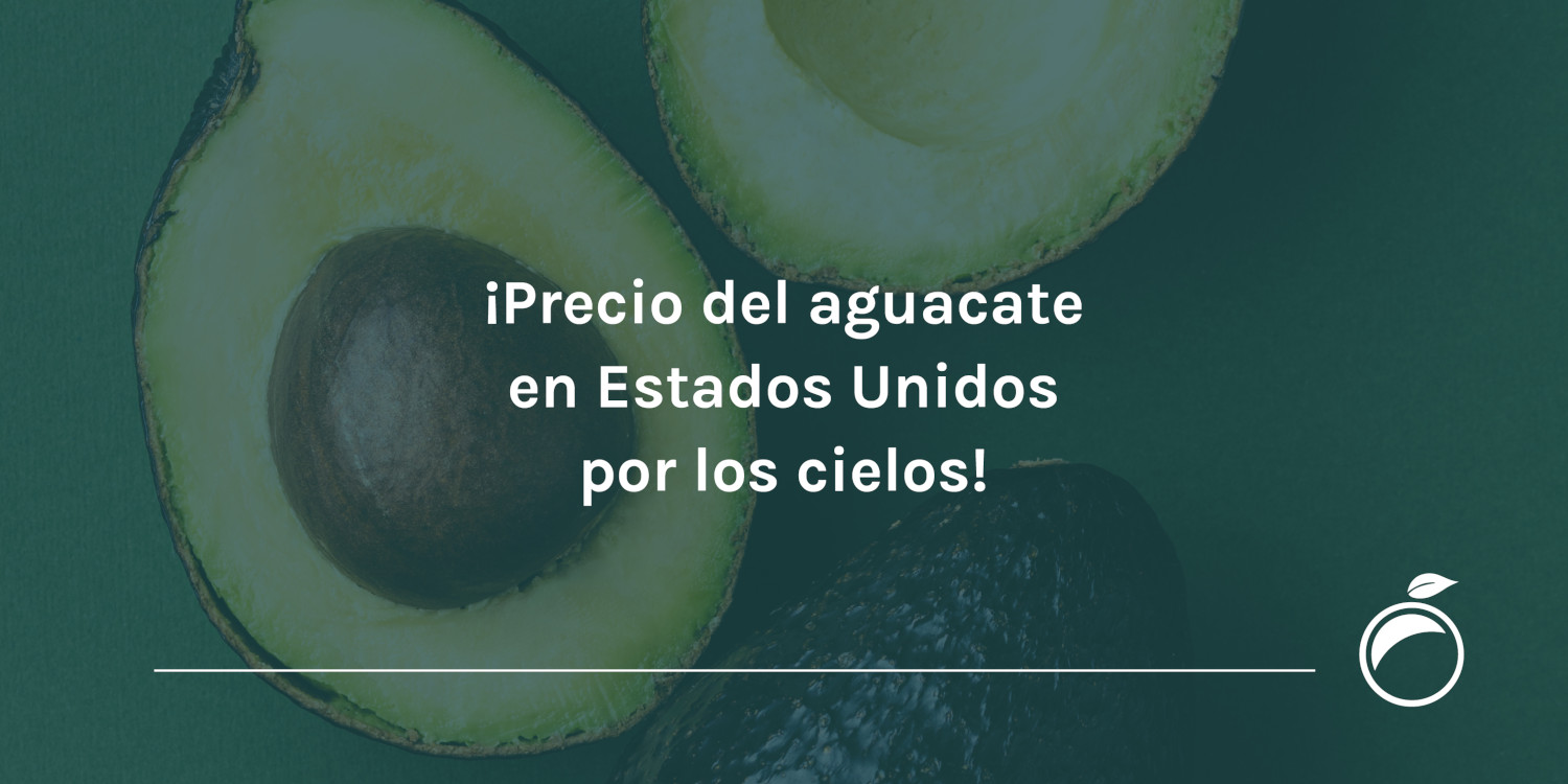 Precio Del Aguacate En Estados Unidos Por Los Cielos