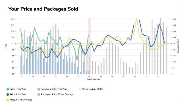 insightspro-forecasting-price-packages-sold