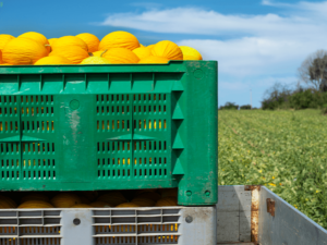 paca-law-protect-the-sale-and-marketing-of-your-products-in-the-us-market