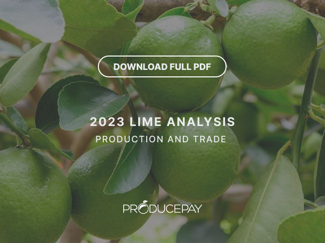 lime-whitepaper-featured-img-EN