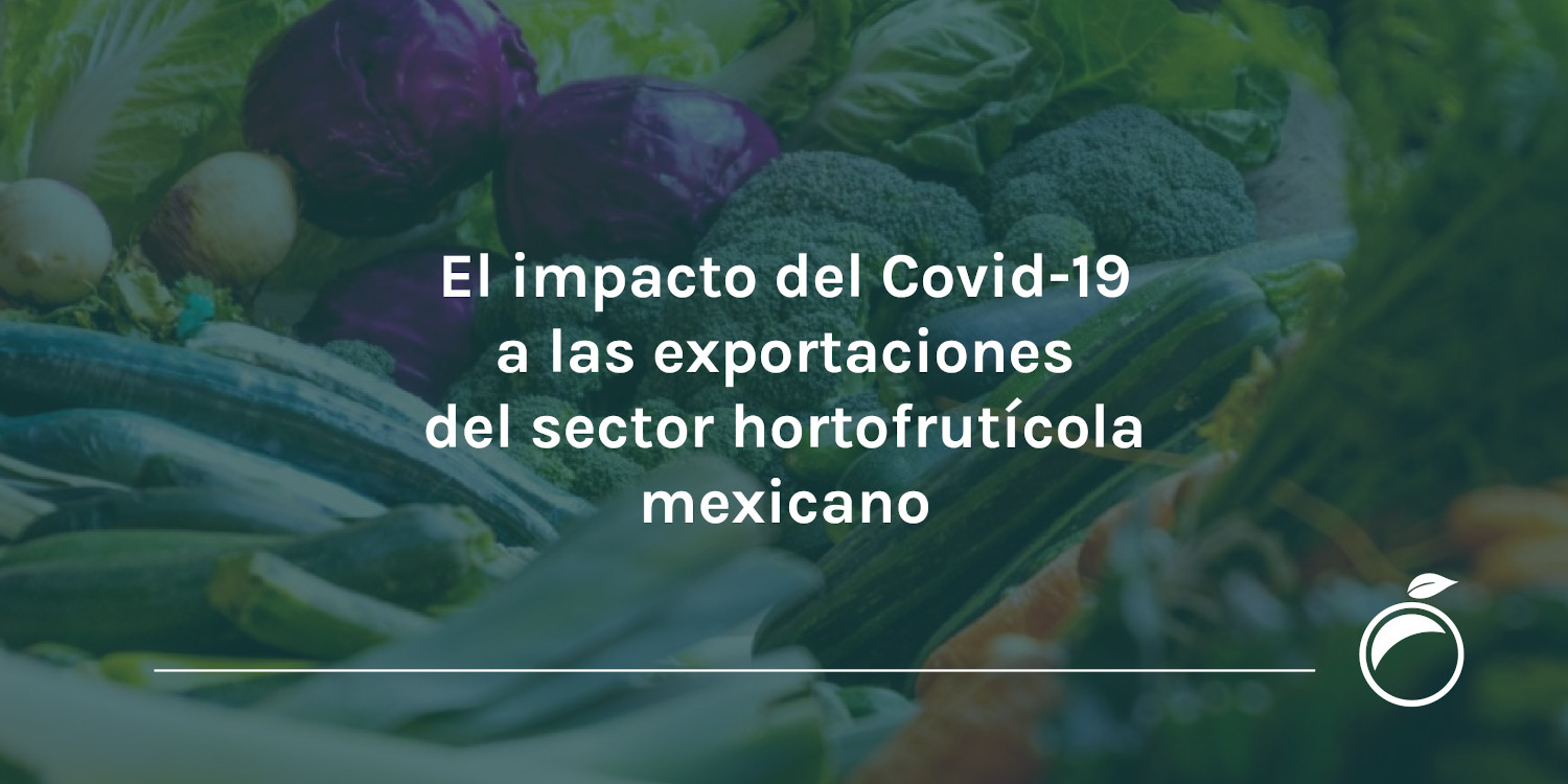 El impacto del Covid-19 a las exportaciones del sector hortofrutícola mexicano