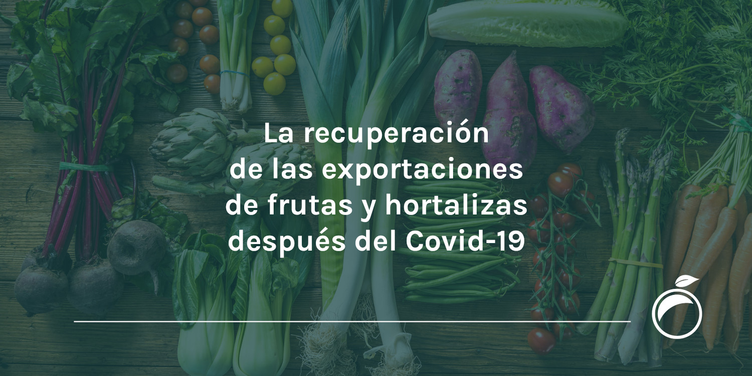 La recuperación de las exportaciones de frutas y hortalizas después del Covid-19