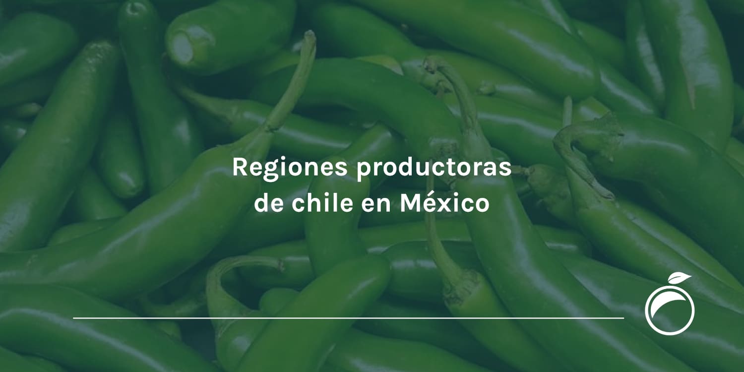 Regiones productoras de chile en México