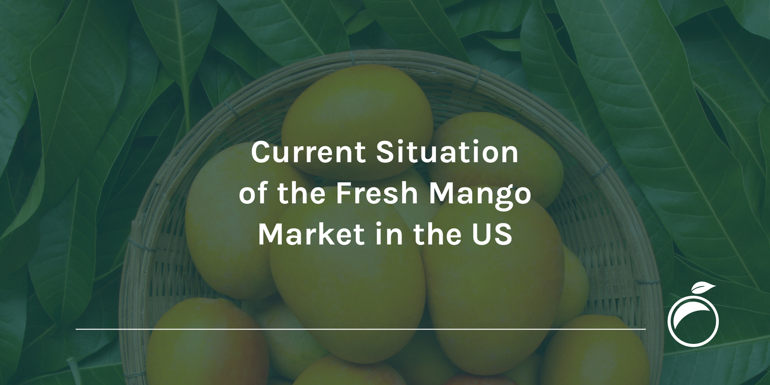 Current Situation of the Fresh Mango Market in the US