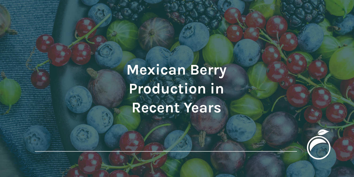 Mexican berry export statistics