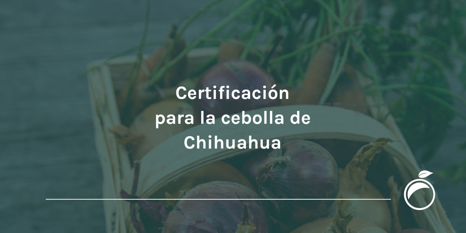 Certificación para la cebolla de Chihuahua
