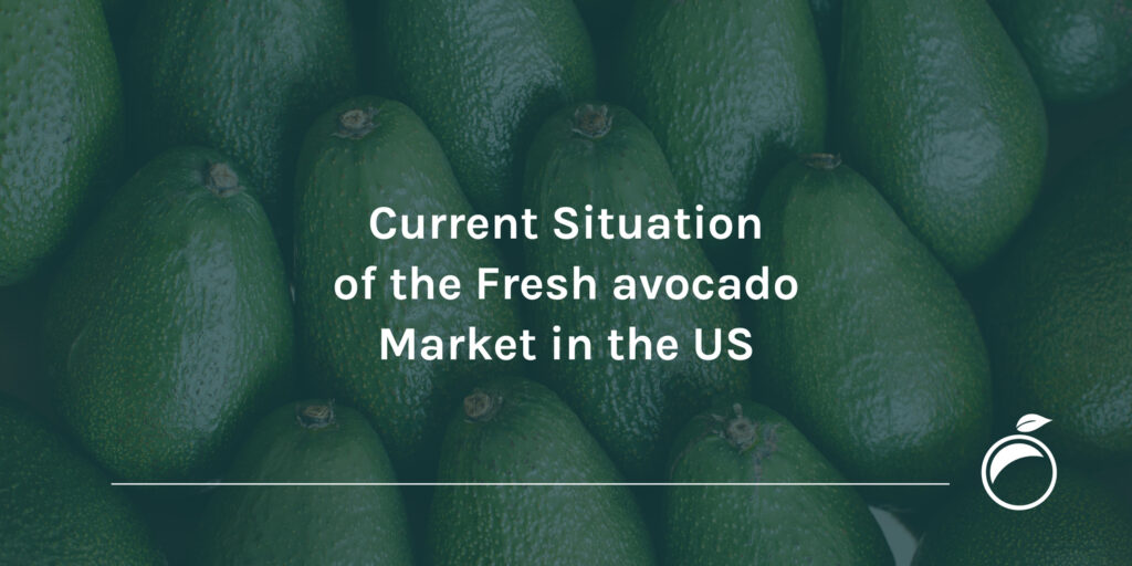 avocado market