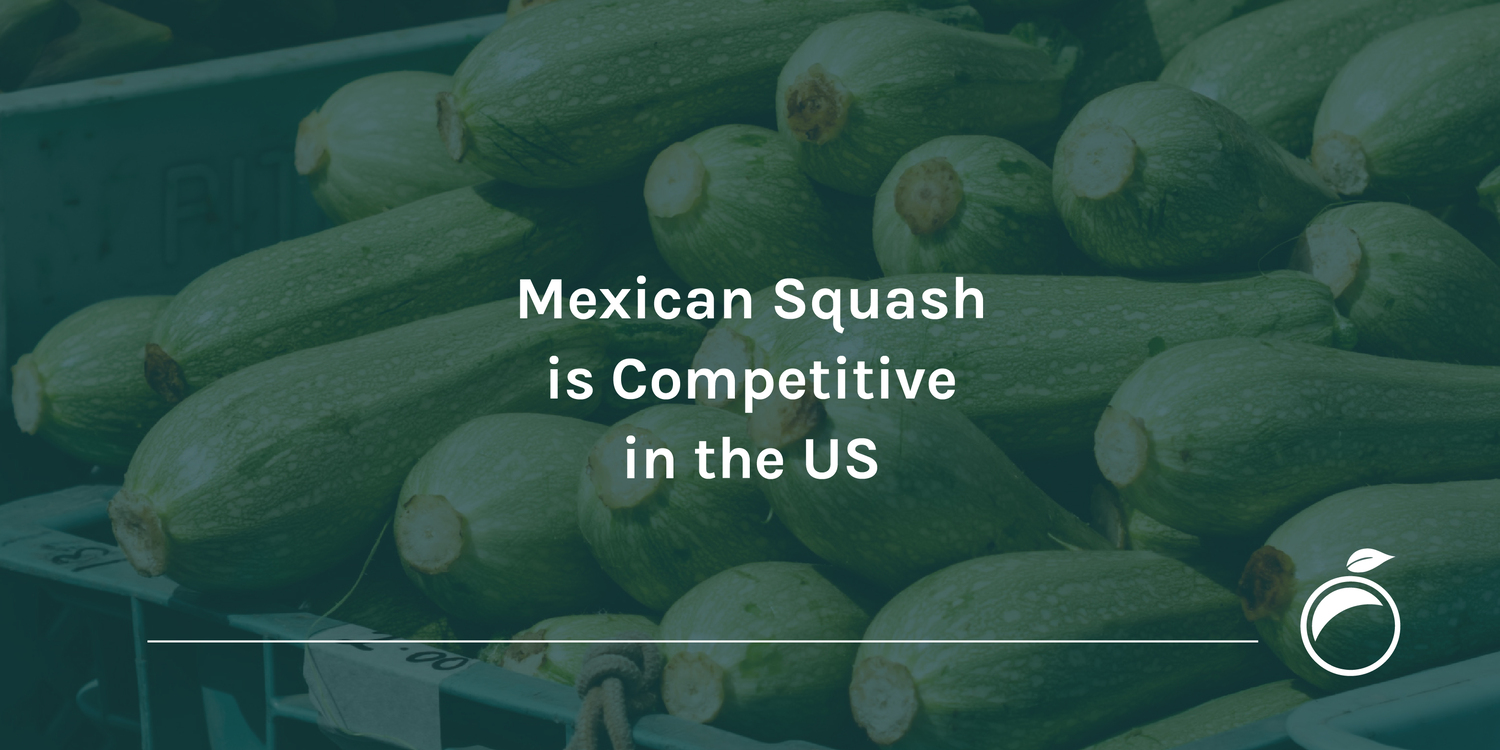 Mexican Squash is Competitive in the US