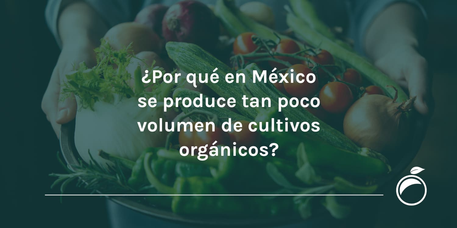 ¿Por qué en México se produce tan poco volumen de cultivos orgánicos?