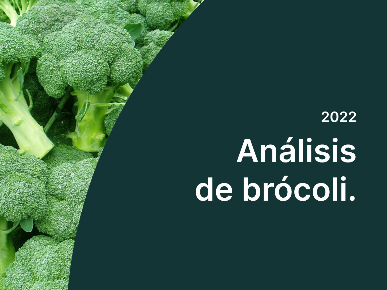broccoli-analysis-es