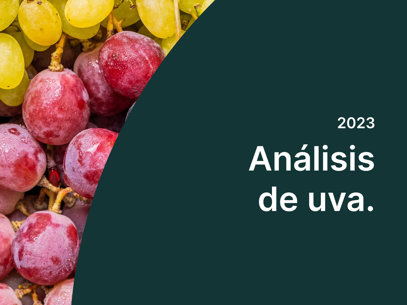 grape-analysis-es