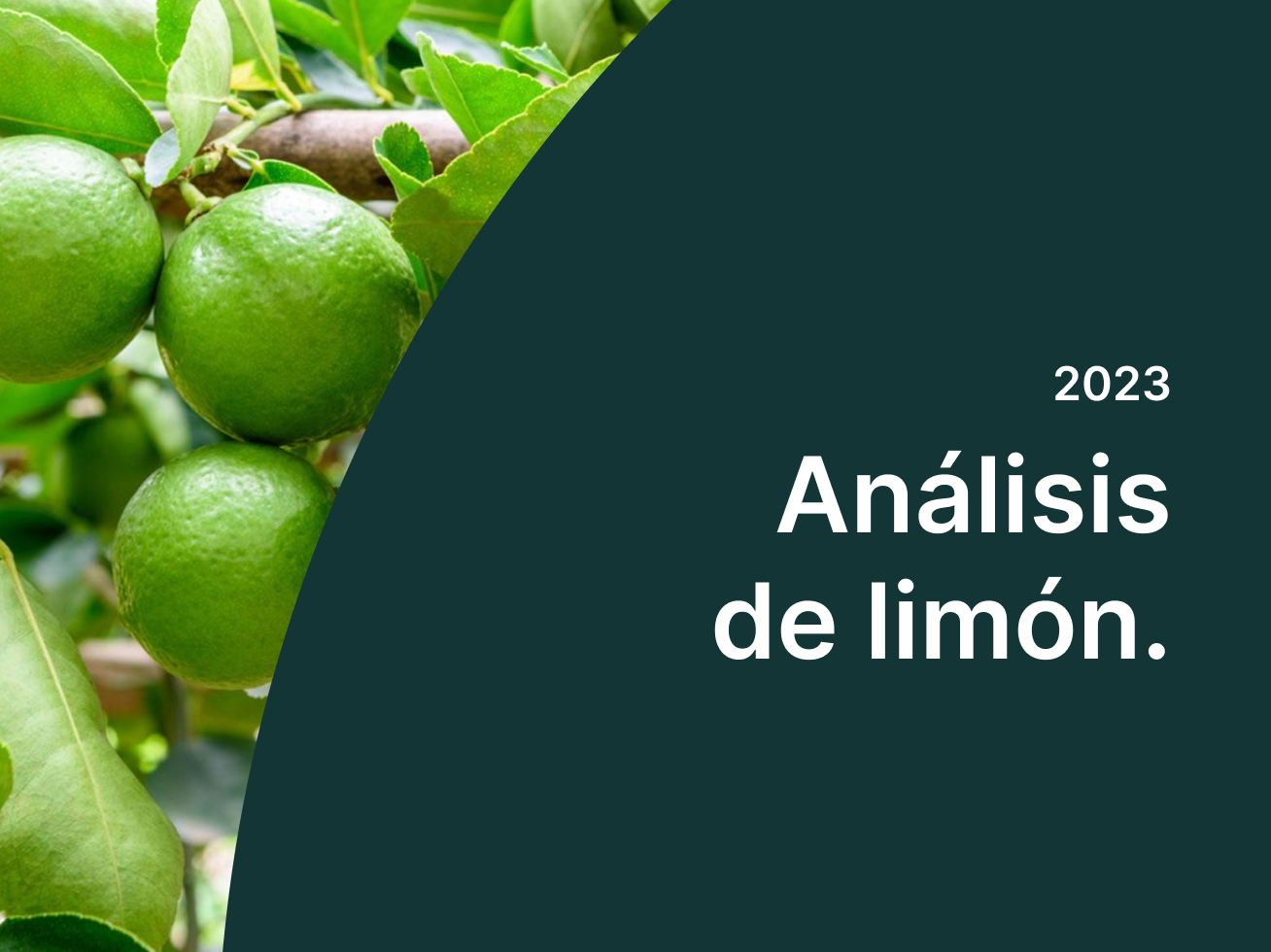 lime-analysis-es