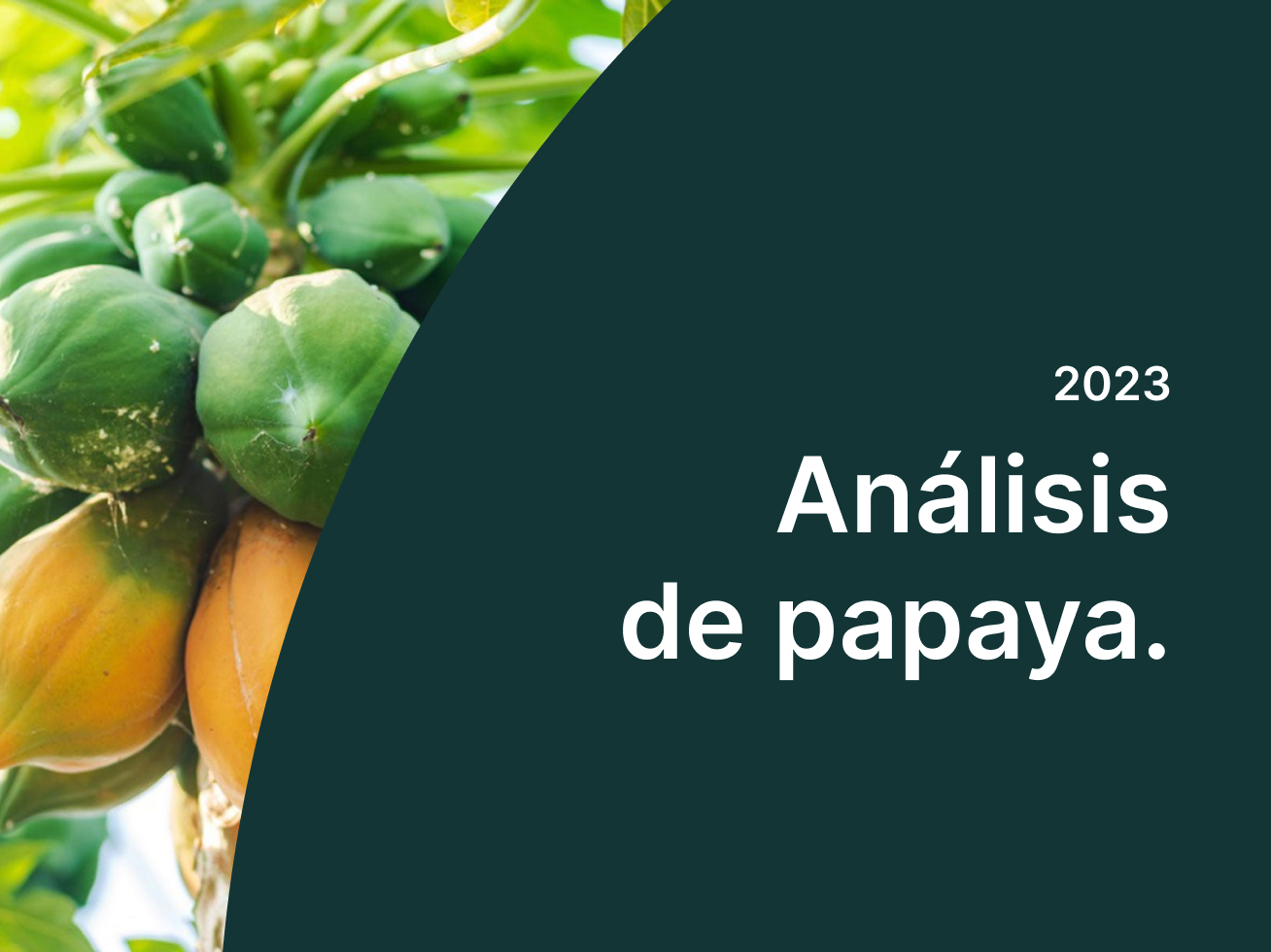 papaya-analysis-es