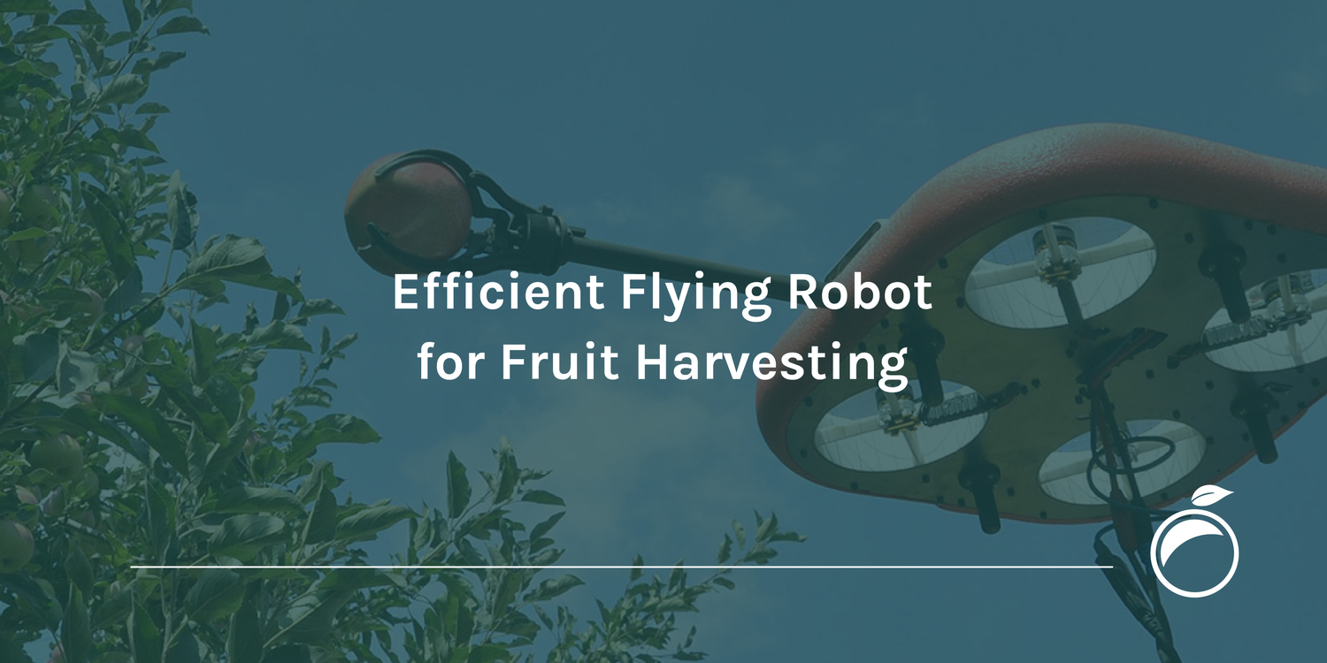 Efficient Flying Robot for Fruit Harvesting