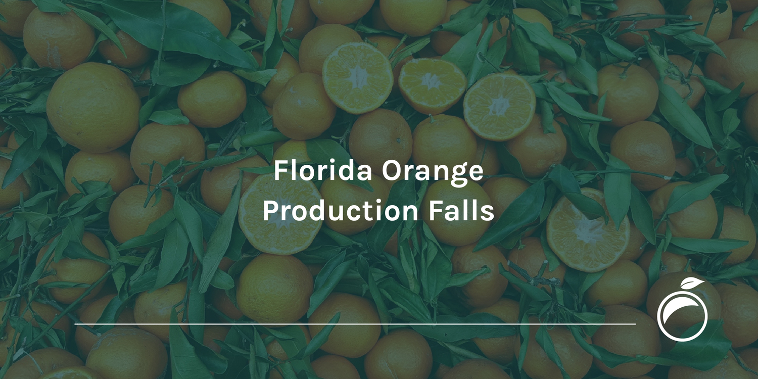 Florida Orange Production Falls