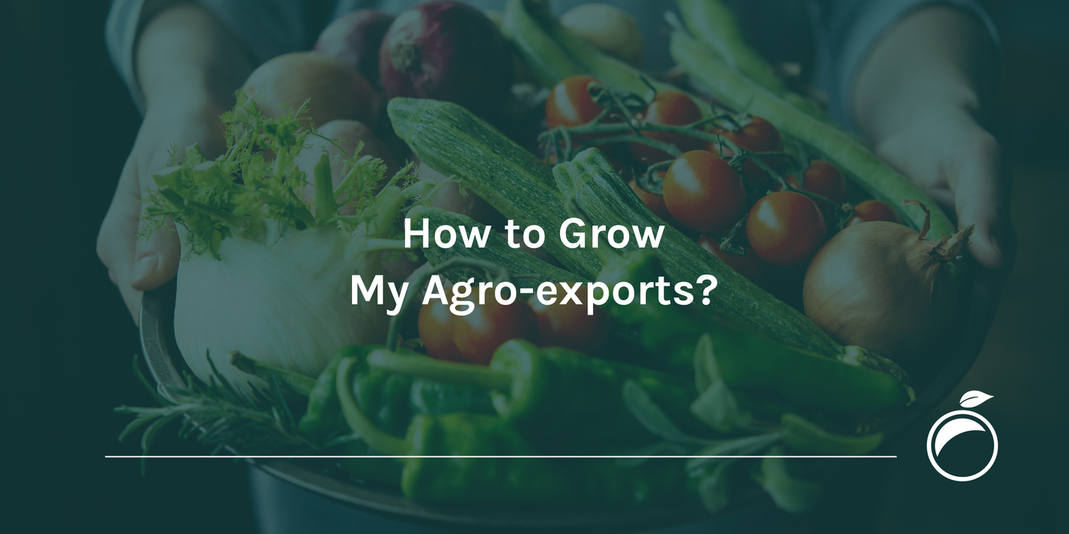 How to Grow My Agro-exports