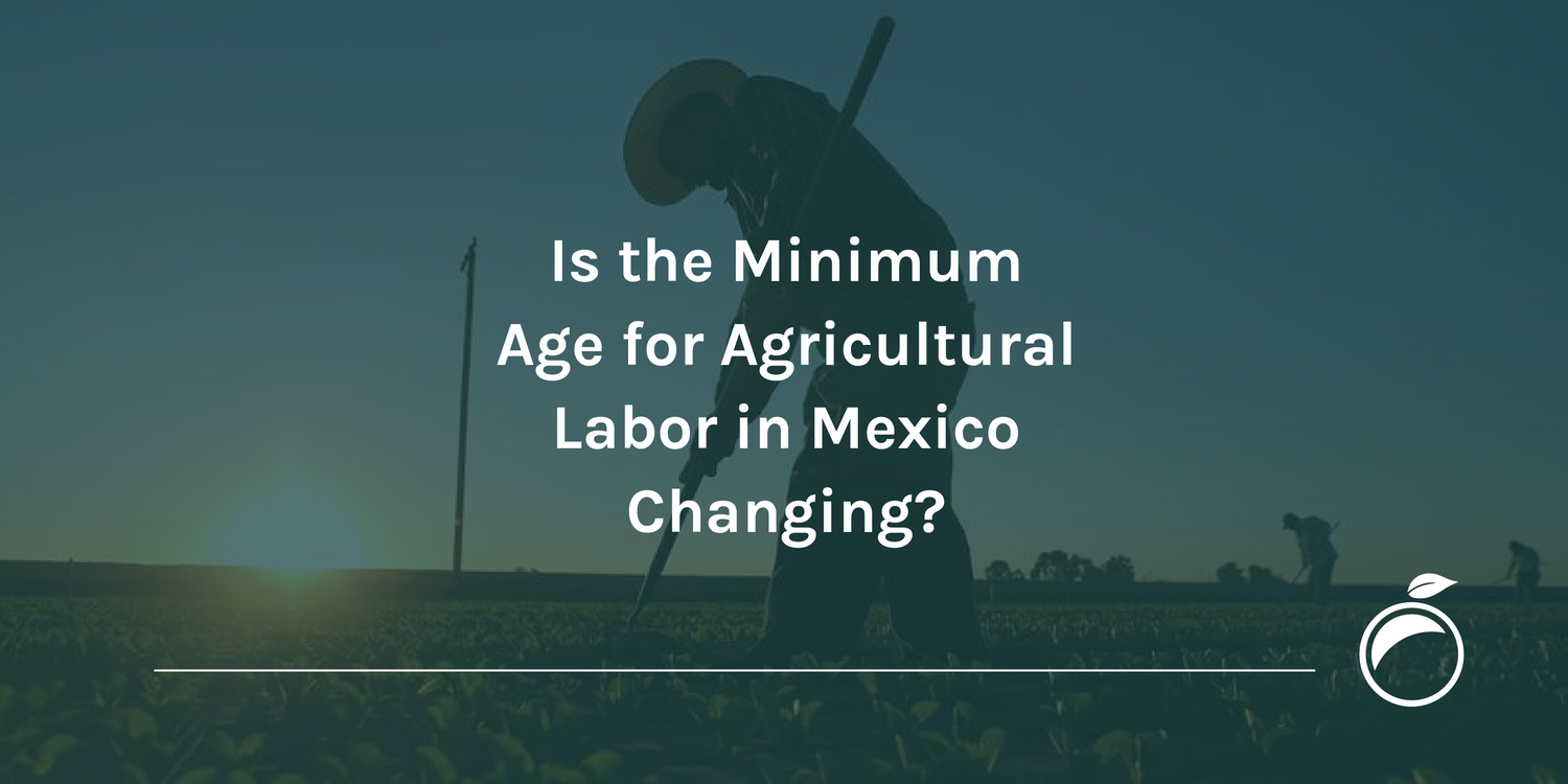 Is the Minimum Age for Agricultural Labor in Mexico Changing