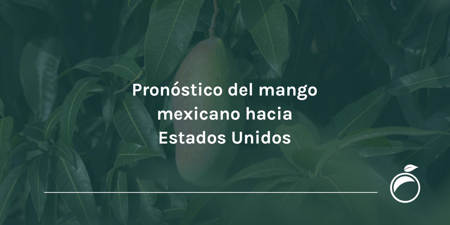 Pronóstico del mango mexicano hacia Estados Unidos