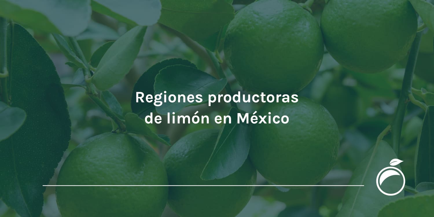 Regiones productoras de limón en México