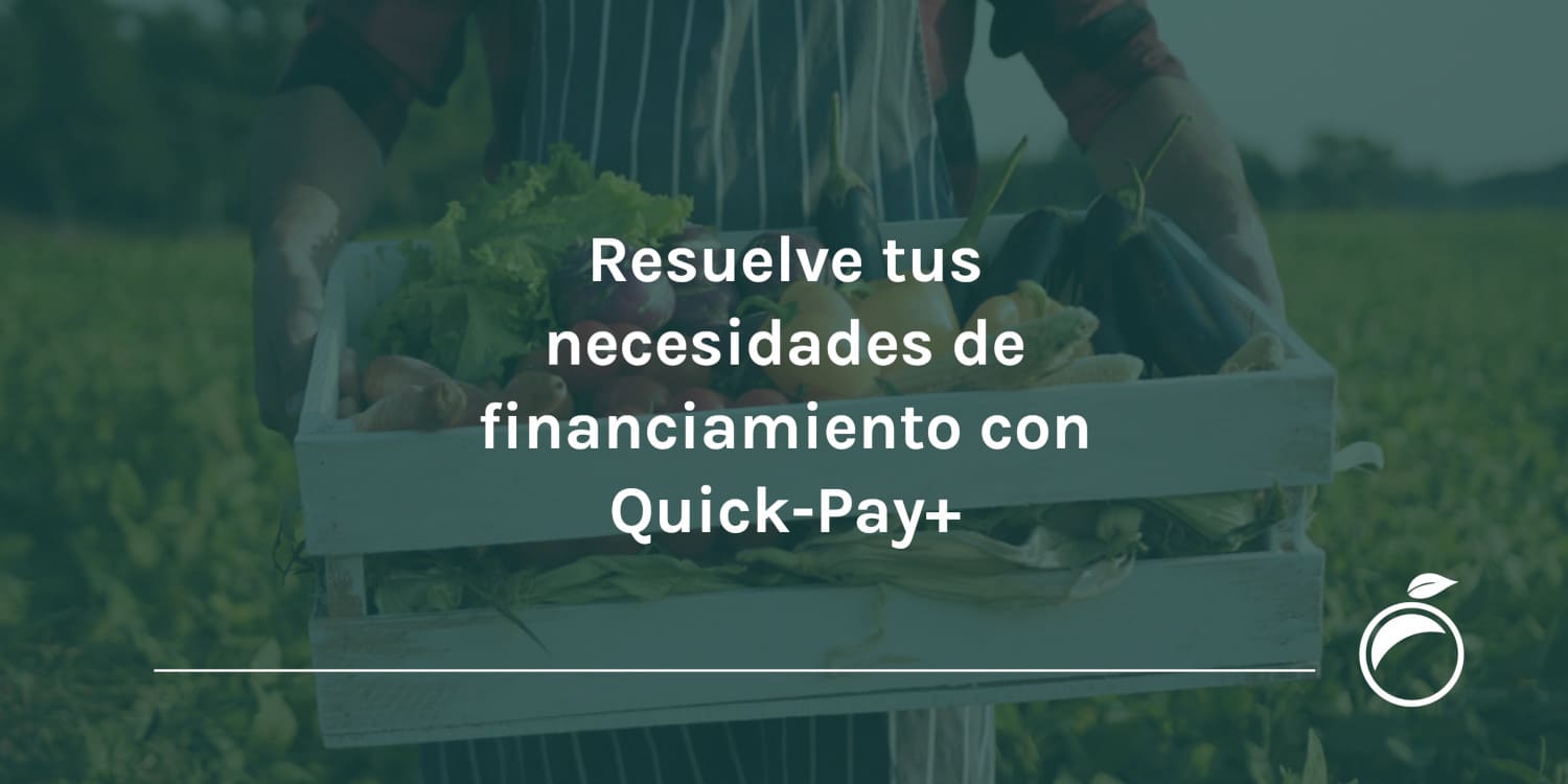 Resuelve tus necesidades de financiamiento con Quick-Pay+