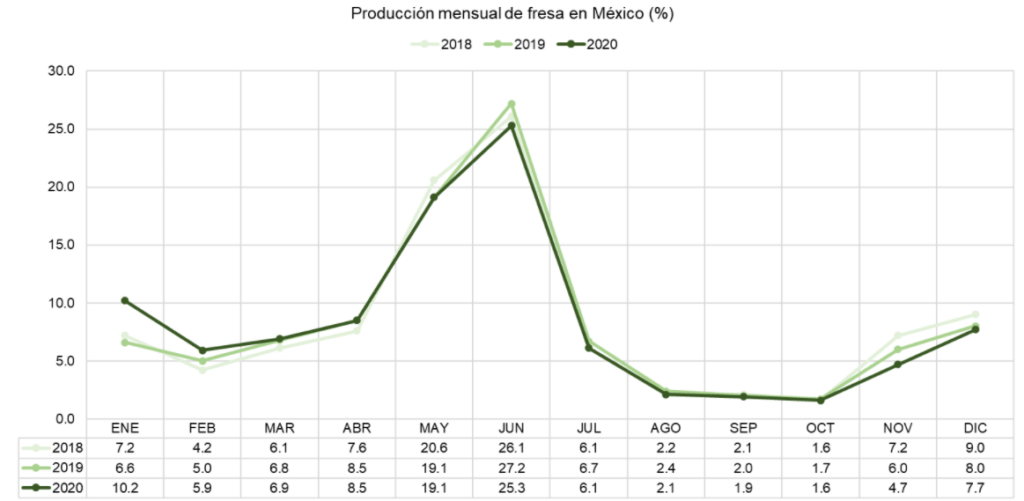 producepay-produccion-mensual-y-exportacion-de-fresa-en-mexico
