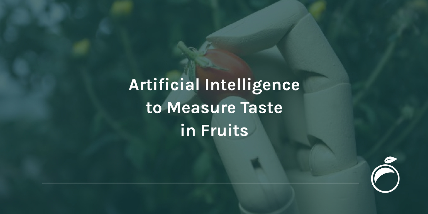 Artificial Intelligence to Measure Taste in Fruits