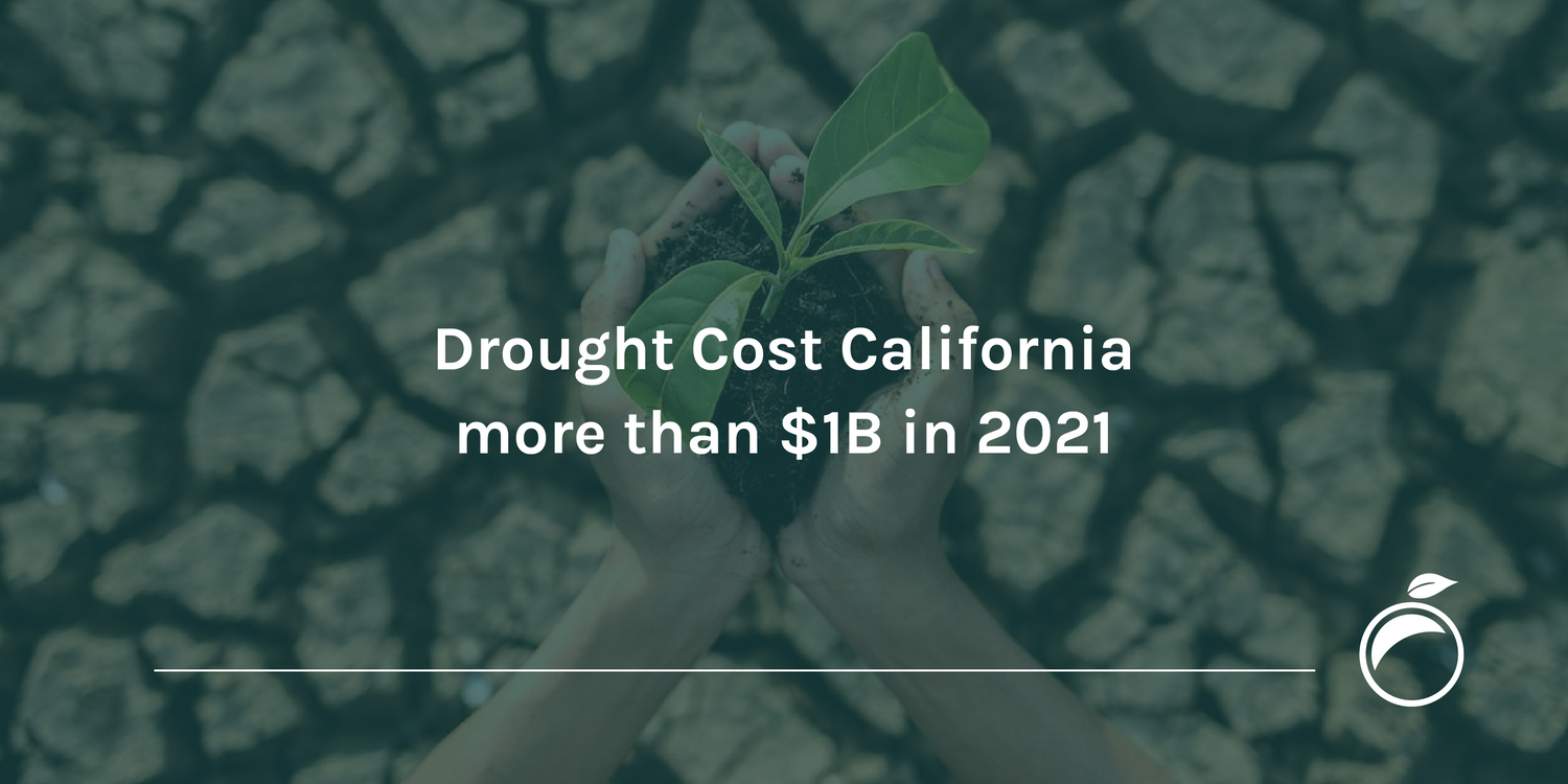 Drought Cost California more than 1B in 2021