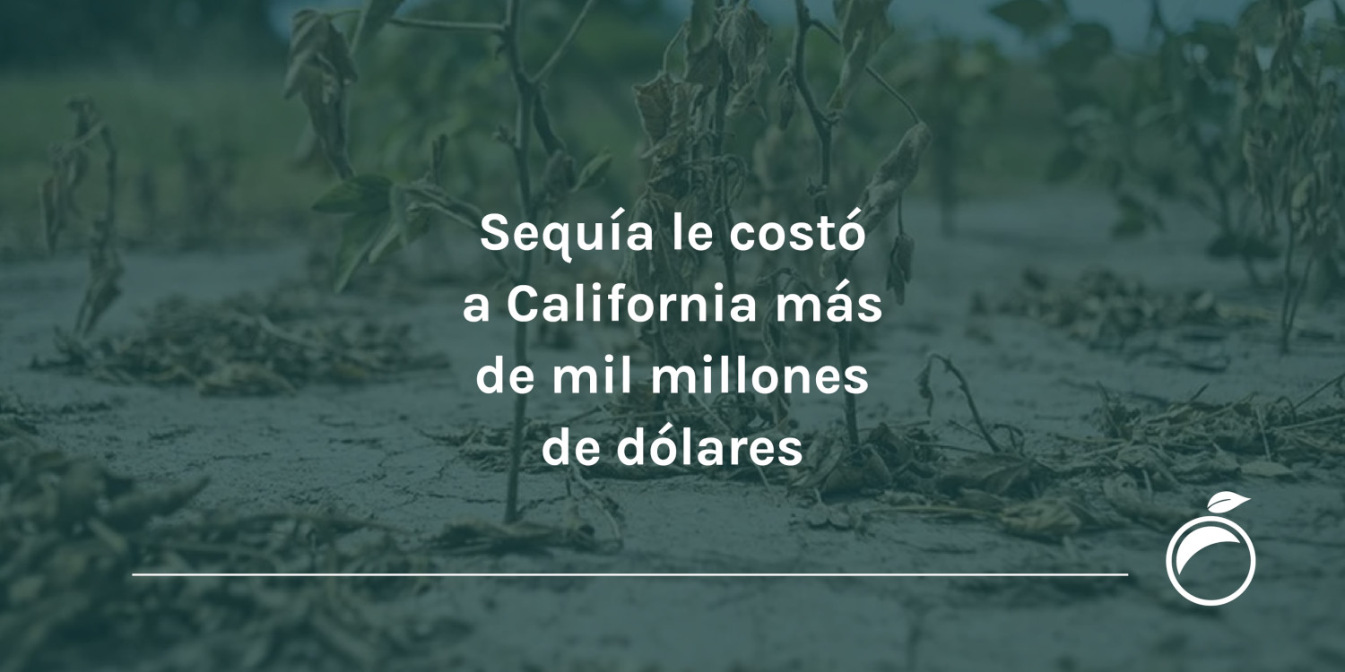 Sequía le costó a California más de mil millones de dólares