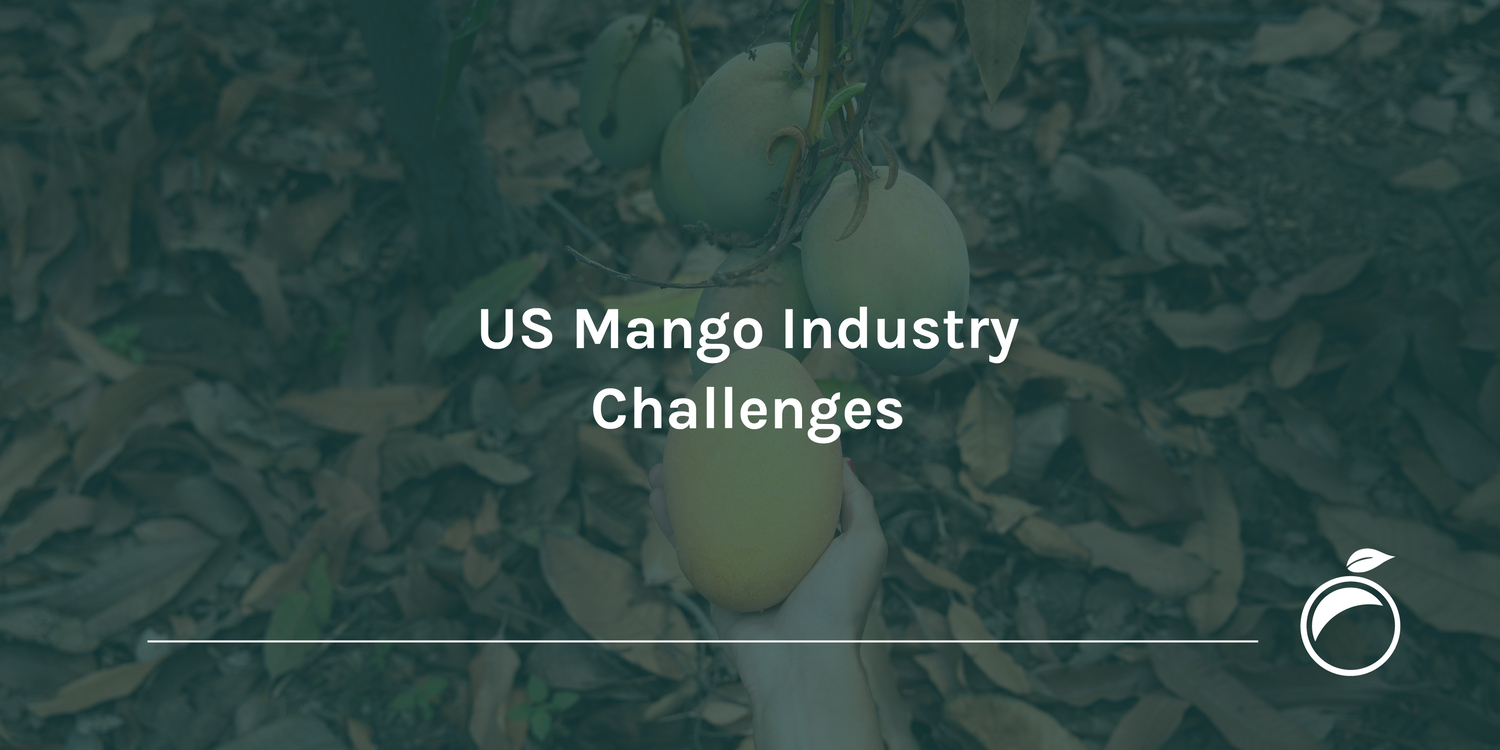 US Mango Industry Challenges