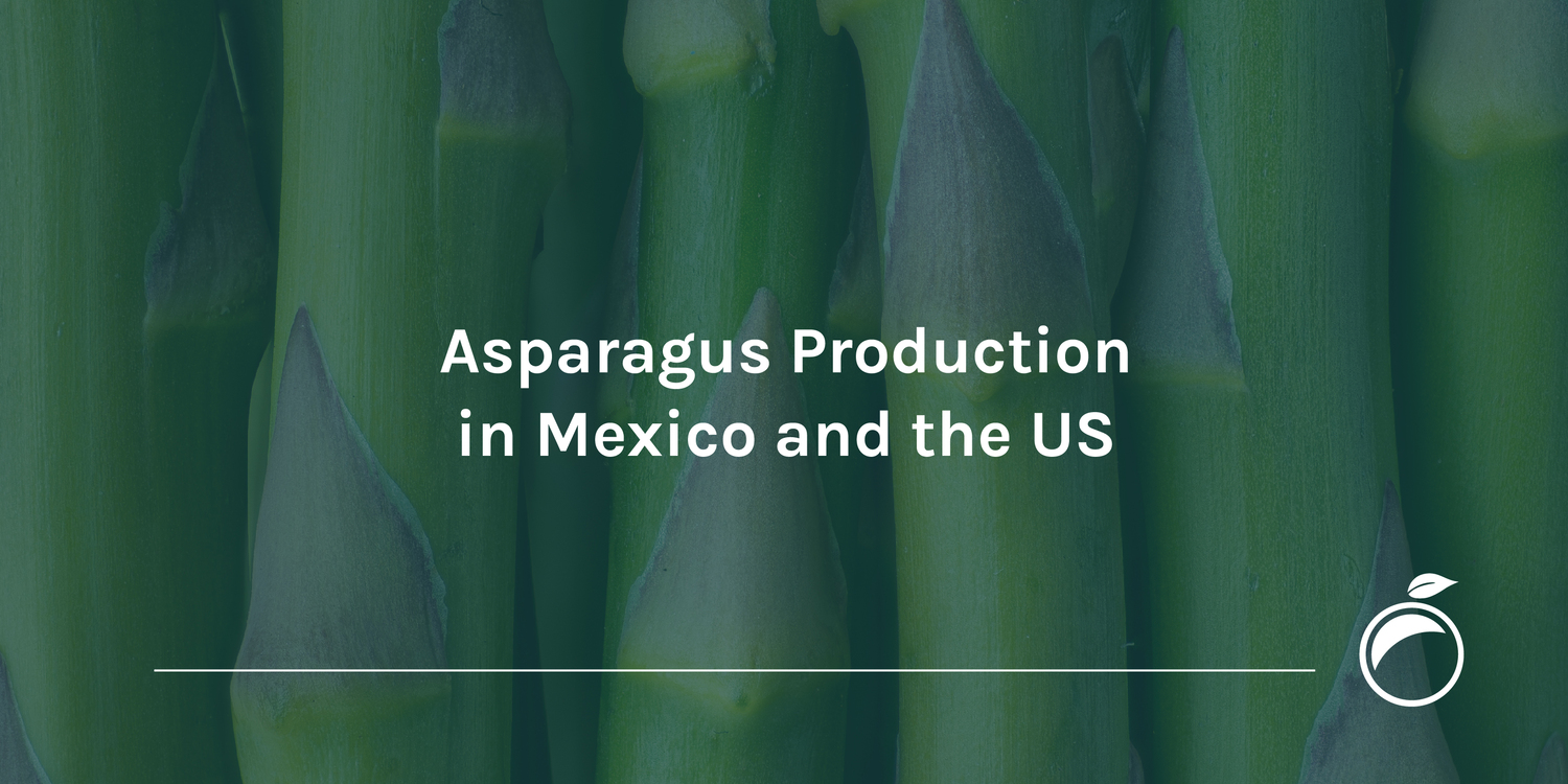 Asparagus Production in Mexico and the US