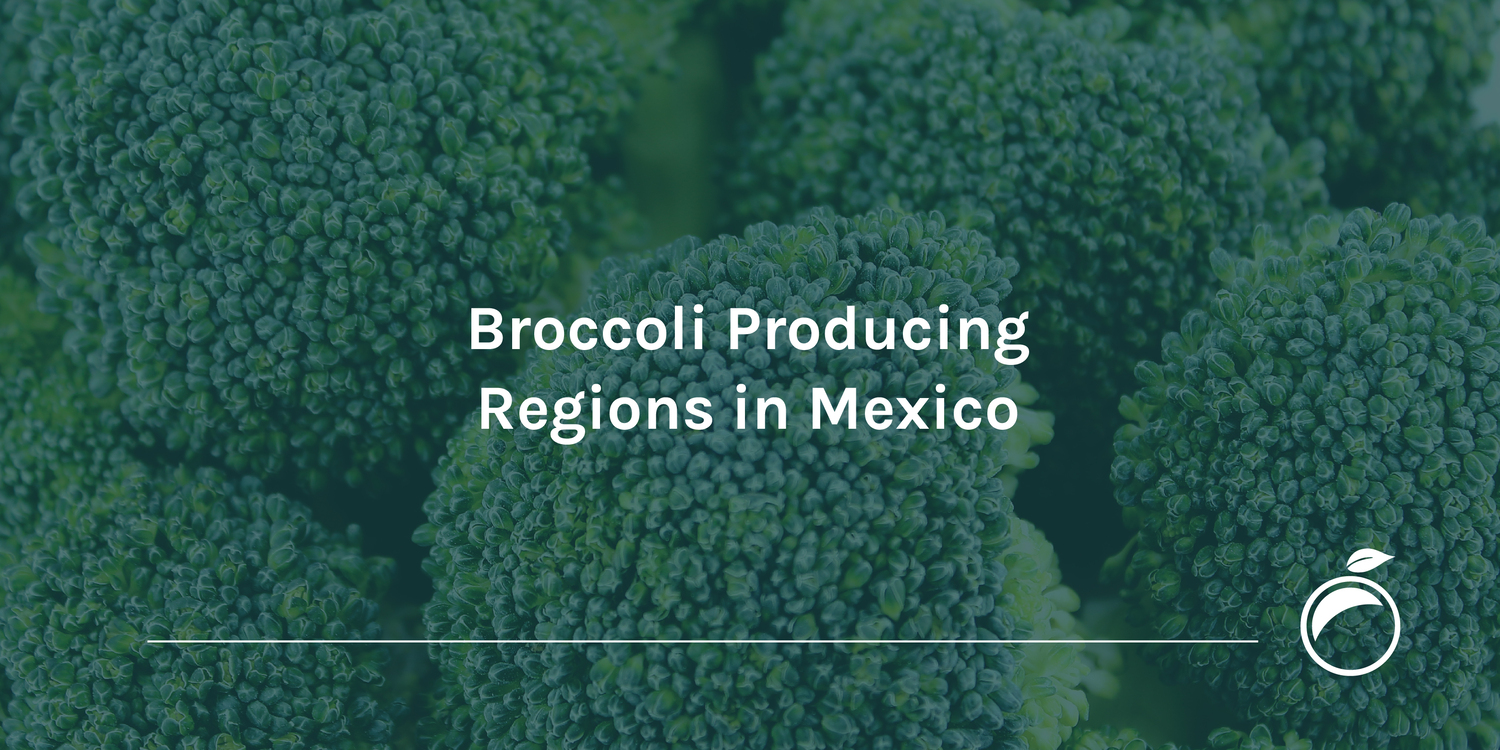Broccoli Producing Regions in Mexico