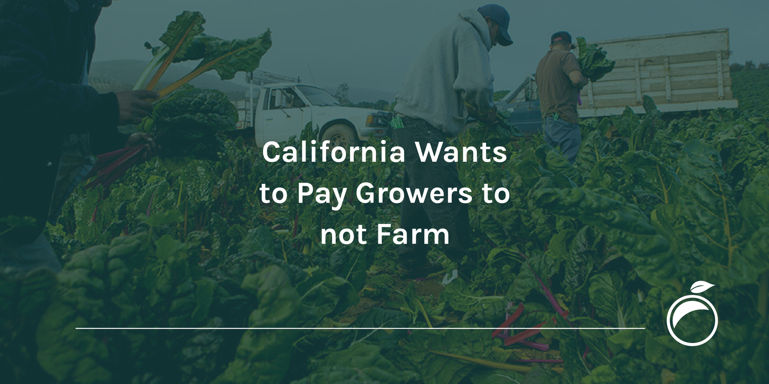 California Wants to Pay Growers to not Farm