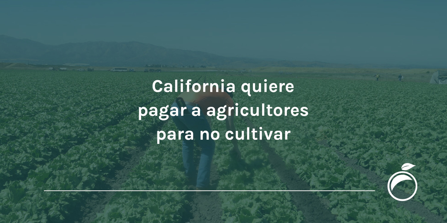 California quiere pagar a agricultores para no cultivar