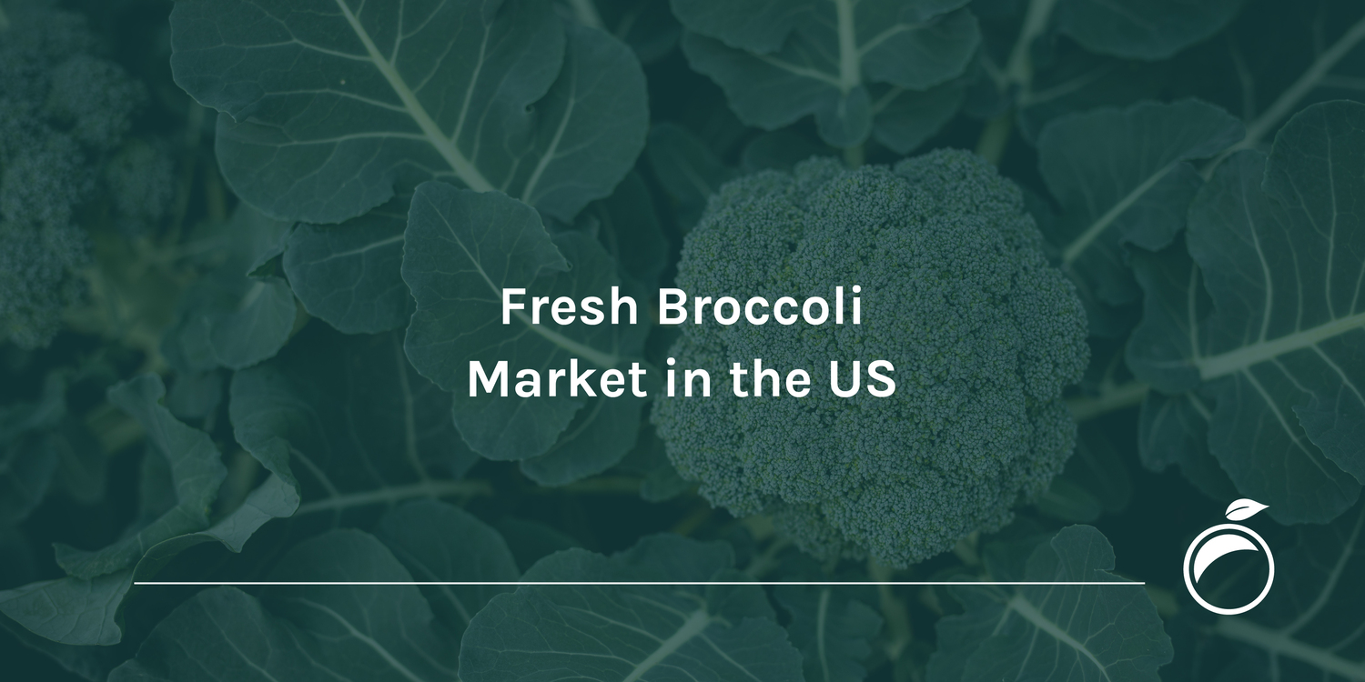 Fresh Broccoli Market in the US