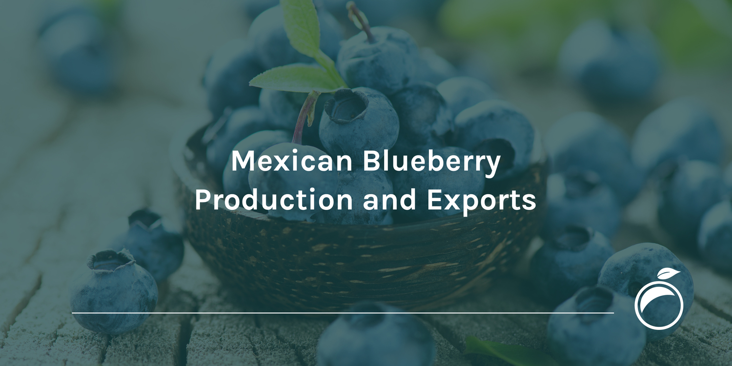Mexican Blueberry Production and Exports