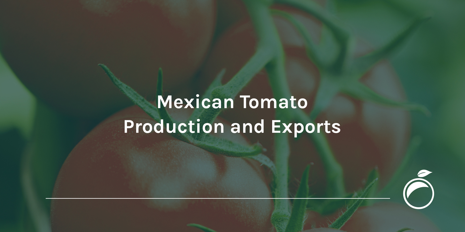 Mexican Tomato Production and Exports
