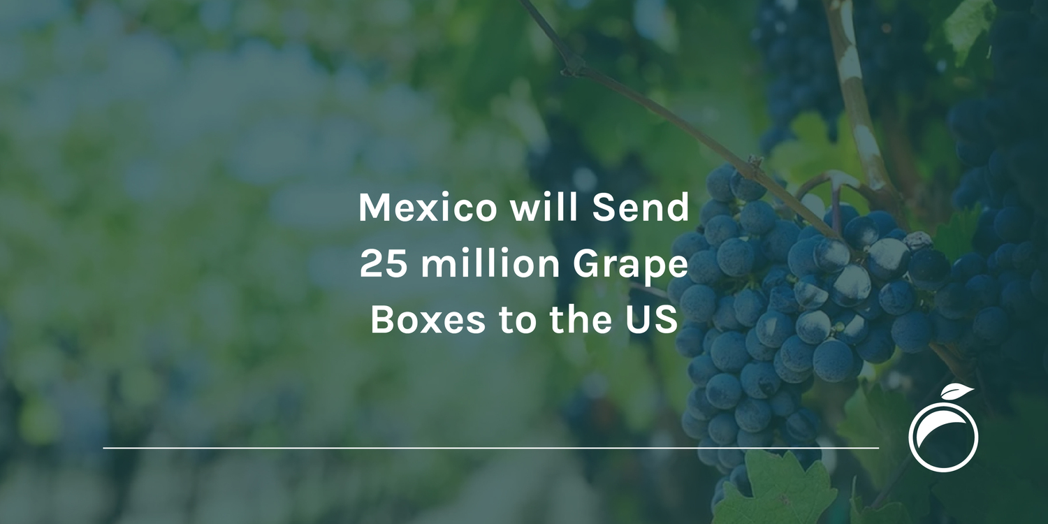Mexico will Send 25 million Grape Boxes to the US