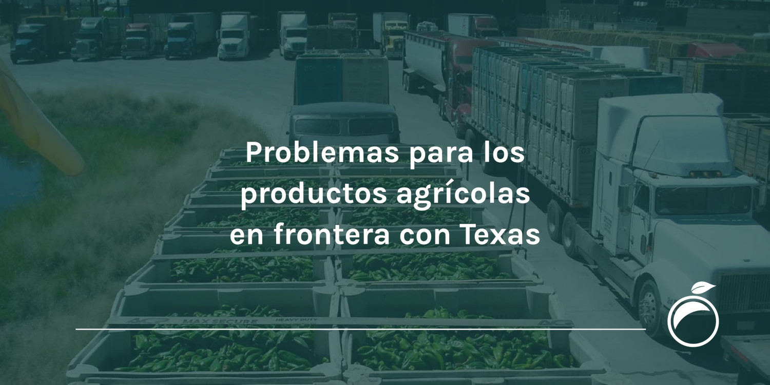 Problemas para los productos agrícolas en frontera con Texas