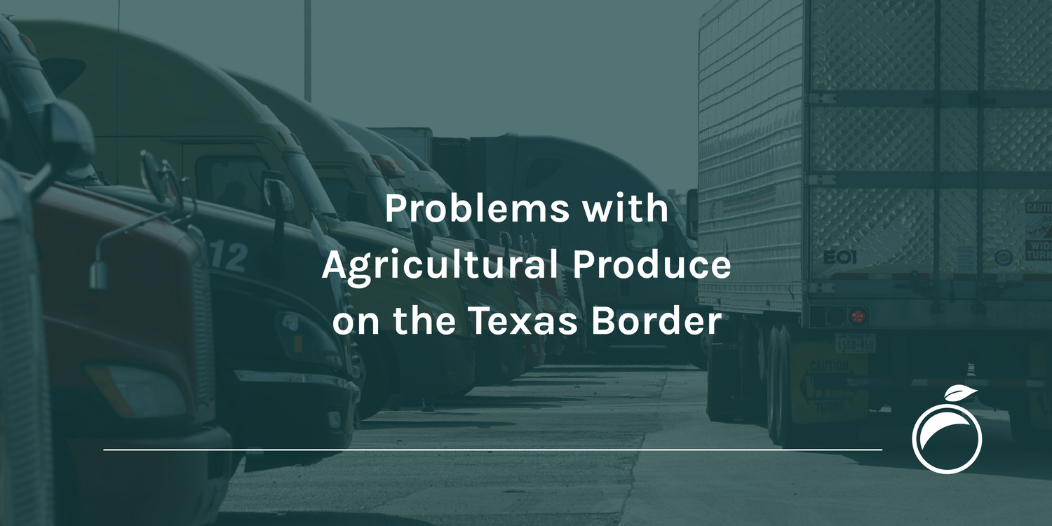Problems with Agricultural Produce on the Texas Border