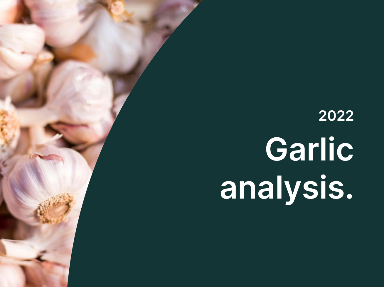 garlic-analysis