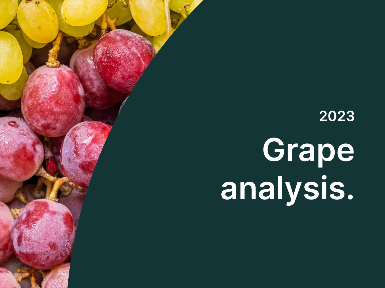 grape-analysis