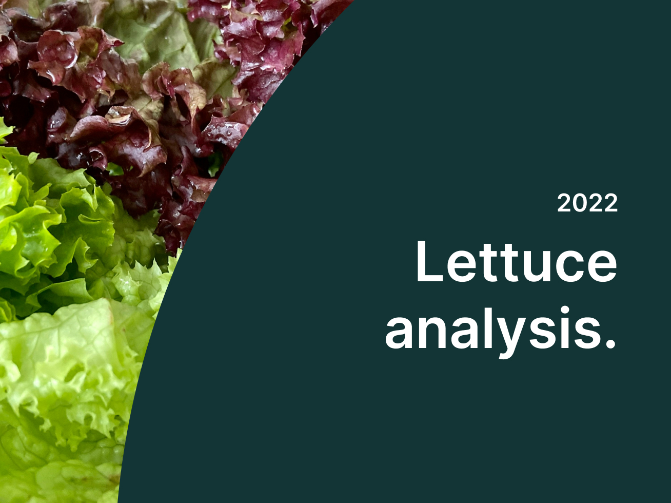lettuce-analysis