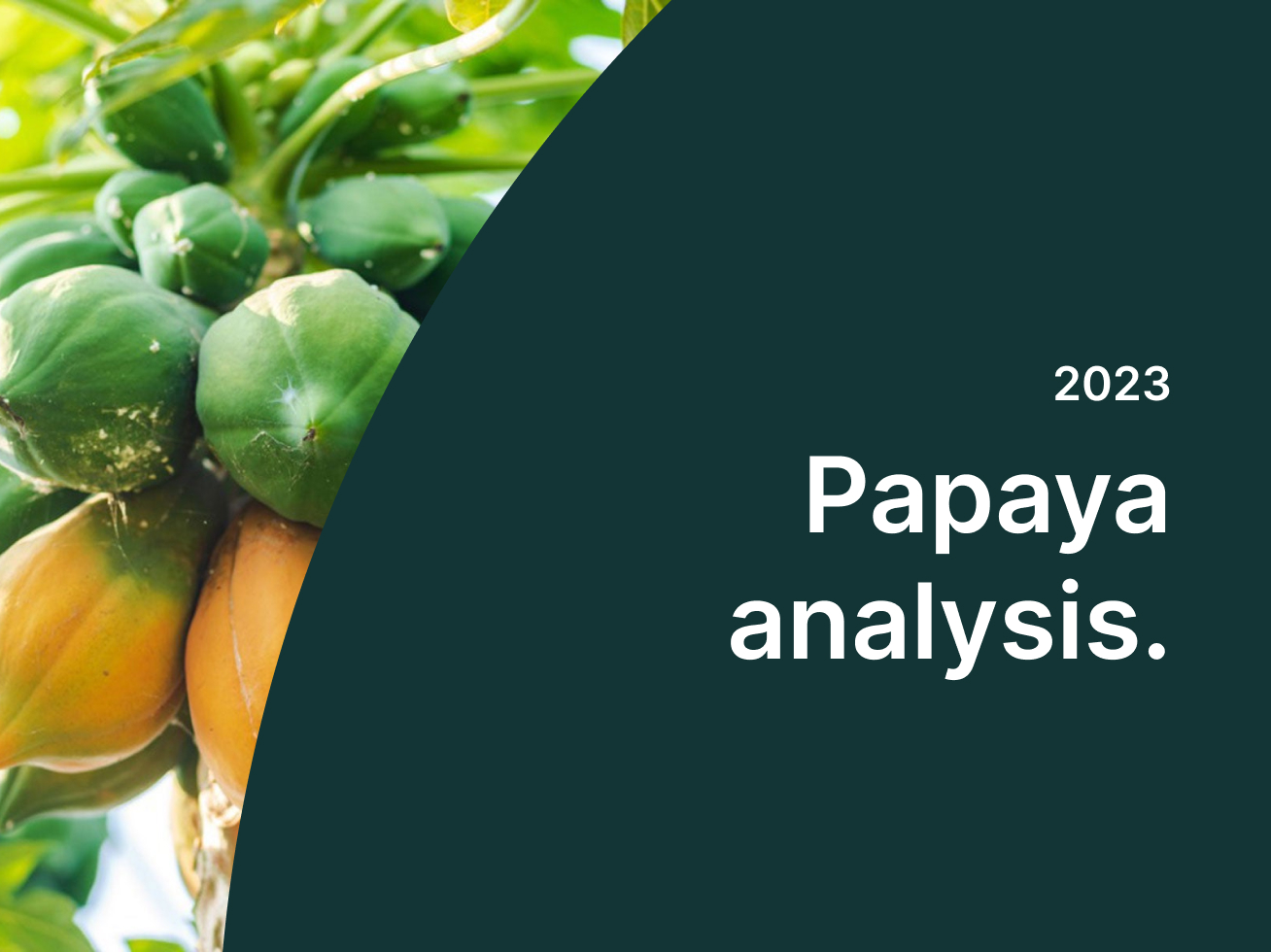 papaya-analysis