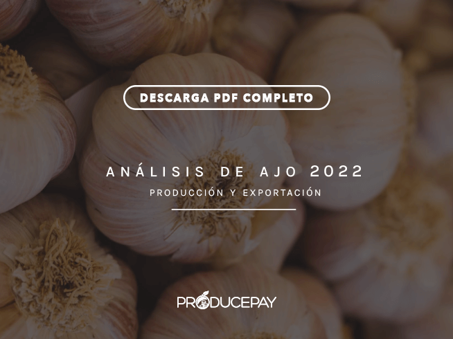 producepay-analisis-ajo-white-paper-2022