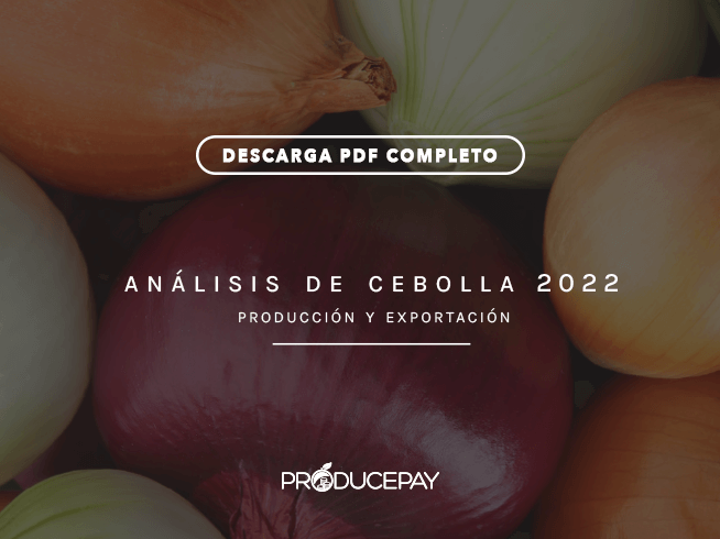 producepay-analisis-cebolla-white-paper-2022