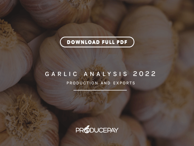 producepay-white-paper-garlic-analysis-2022