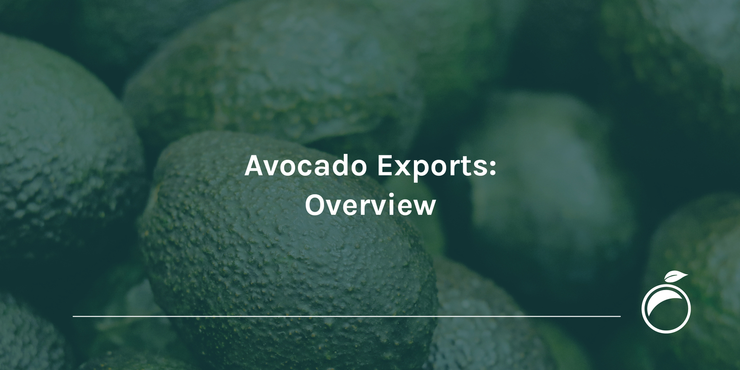 Avocado Exports Overview