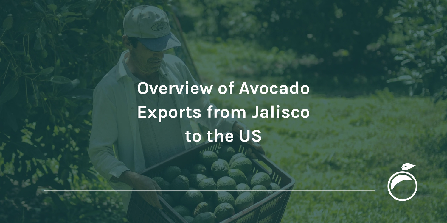 Overview of Avocado Exports from Jalisco to the US