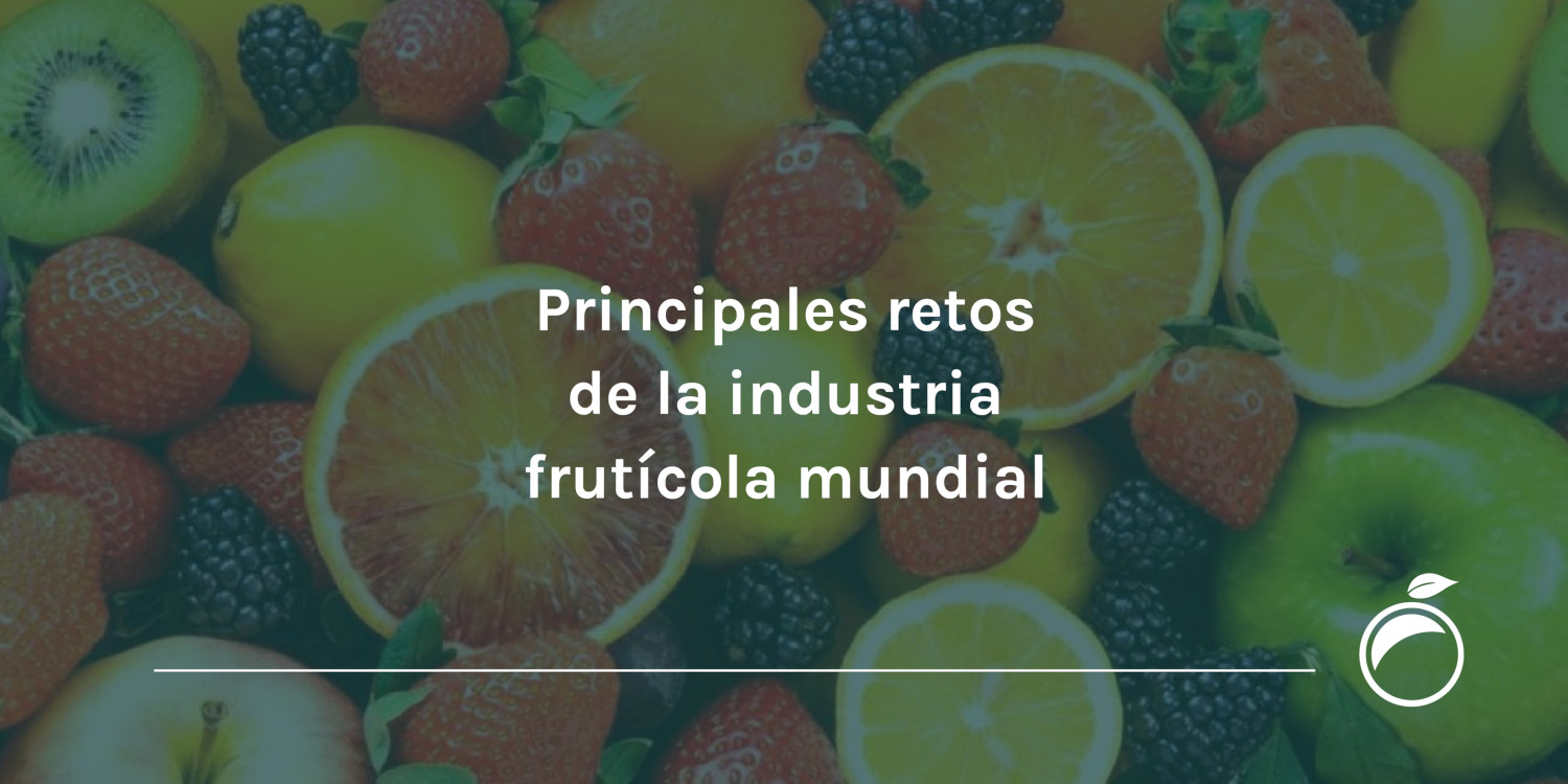 Principales retos de la industria frutícola mundial